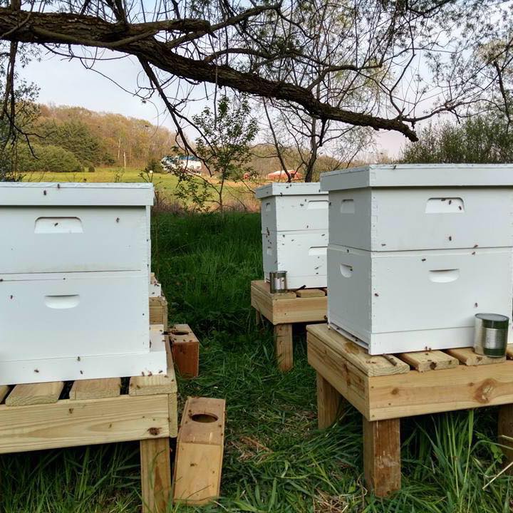 29342773_831993046984269_8955370656019513344_n