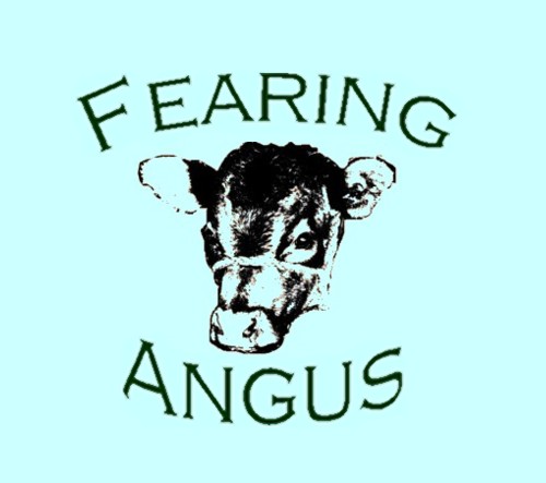 fearinganguslog-1